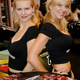 Illustration for article titled The Booth Professionals Of The 2008 SEMA Show